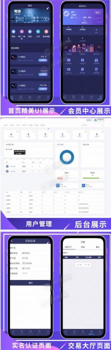 全新UI疯狂蚂蚁区块链矿池重置版网站源码 全开源可二开-酷库源码网