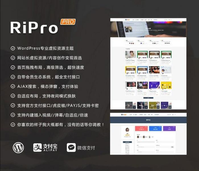 RIPro主题 v7.2 免授权修复后门完美版-酷库源码网