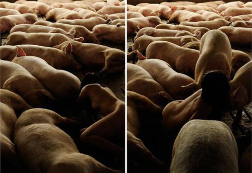 微信牛牛 性生活前，一定要做好这些准备-酷库源码网