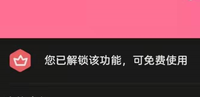 梅花视频 画中画 4K蓝光画质 无广告无需会员-酷库源码网