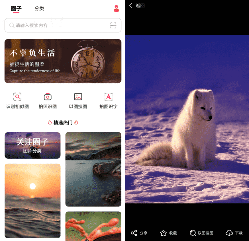 以图搜图v1.0.0纯净版-酷库源码网