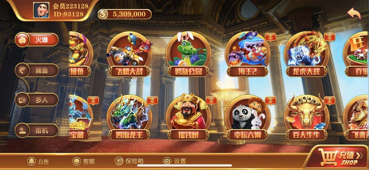 无错运营级别逍遥娱乐,2021最新大富豪,二开增加多款子游戏,双端完整组件-酷库源码网