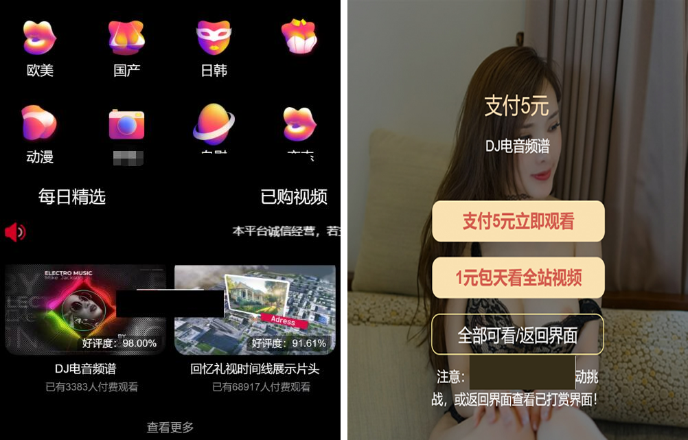 最新版付费视频打赏程序源码 多模板+全新UI 带包天+可扣量+代理 非云赏V系列-酷库源码网